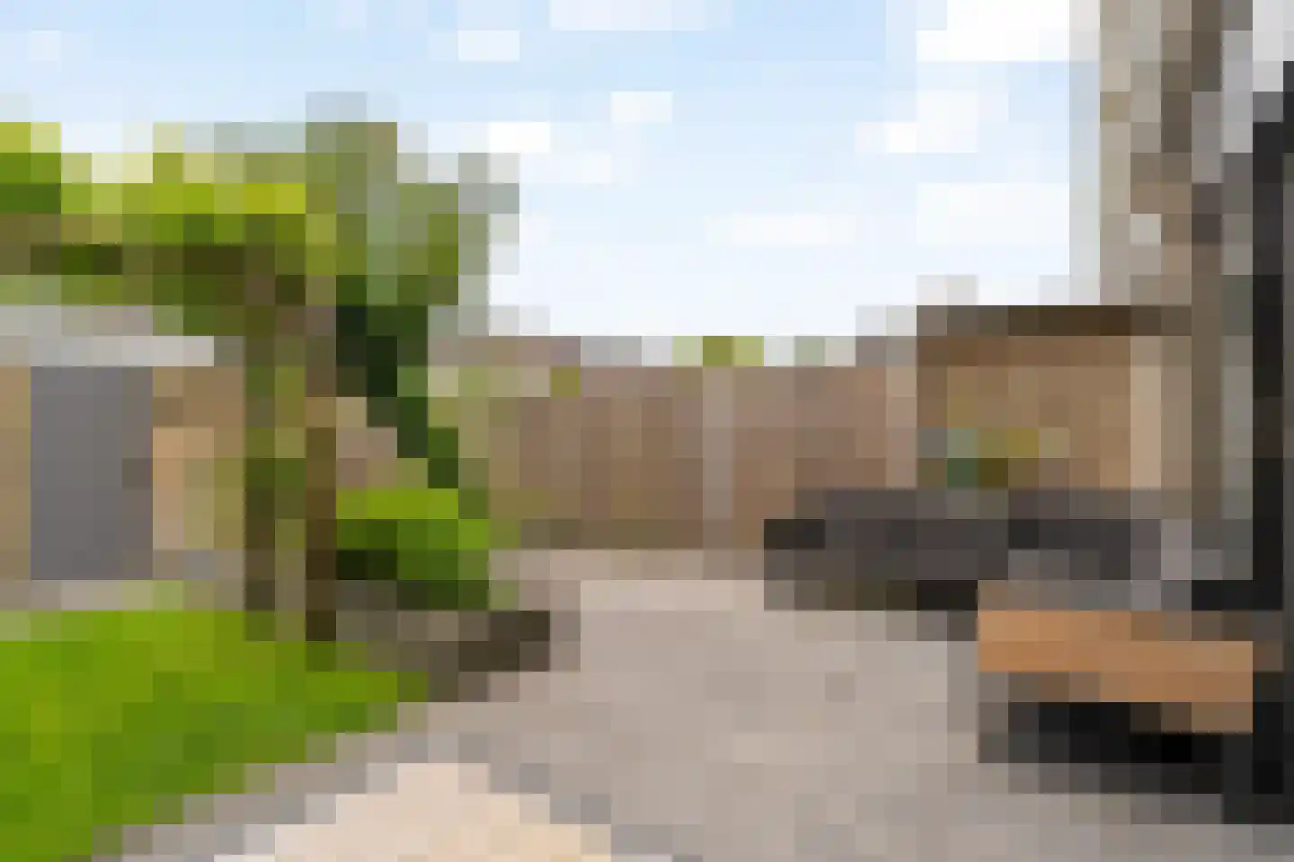 Muurmos 18 Rotterdam thumbnail 32