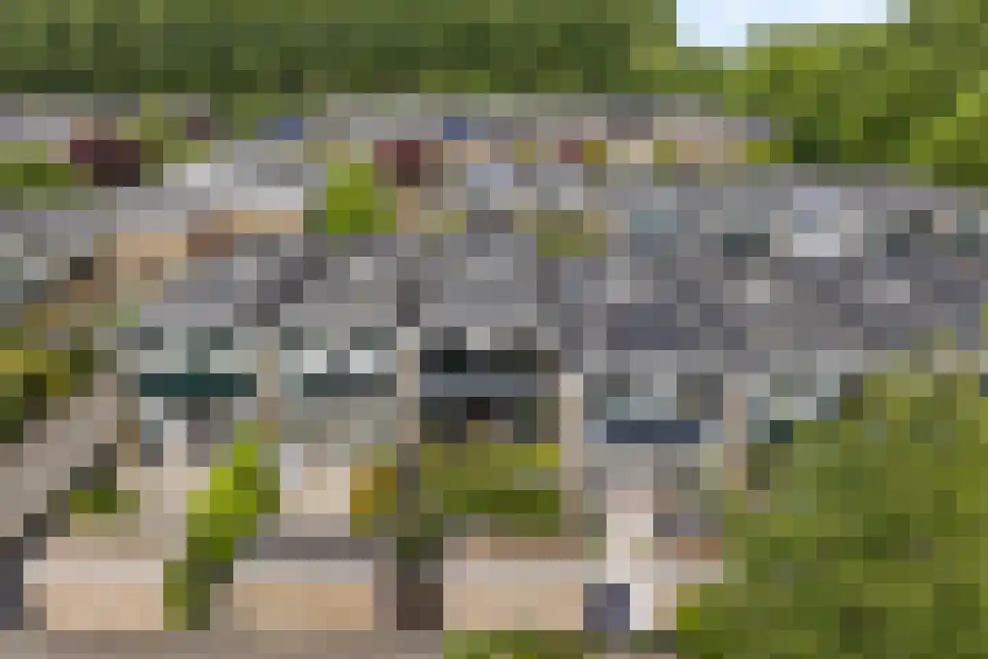 Muurmos 18 Rotterdam thumbnail 34