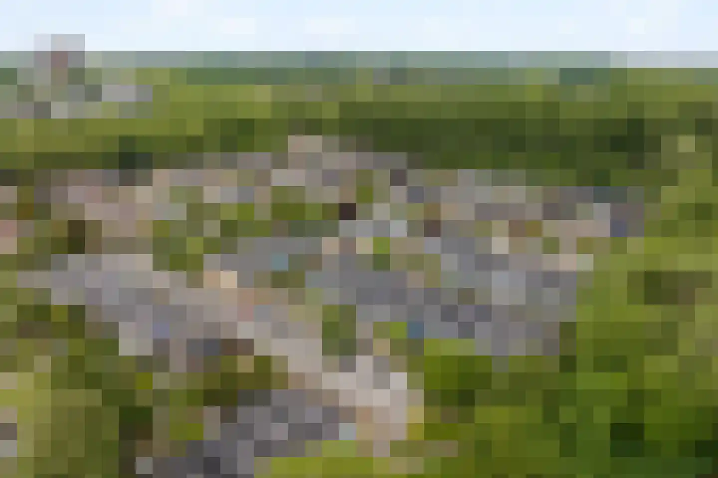 Muurmos 18 Rotterdam thumbnail 35