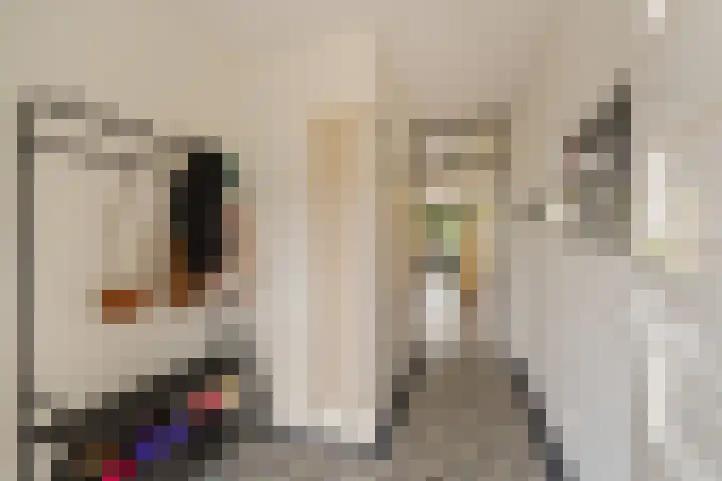 Muurmos 18 Rotterdam thumbnail 7