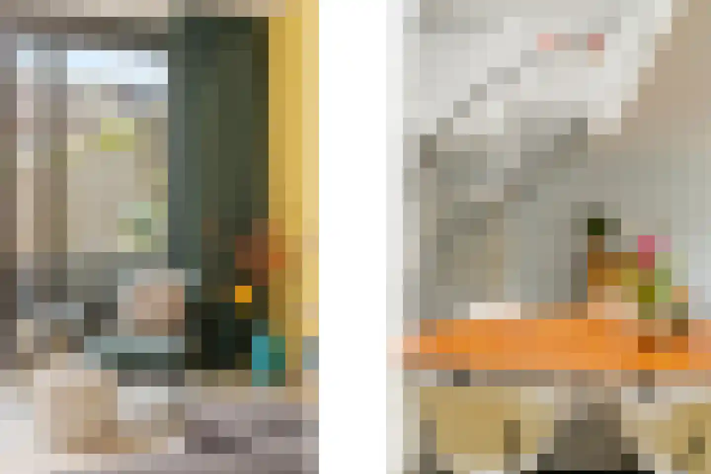Muurmos 18 Rotterdam thumbnail 8