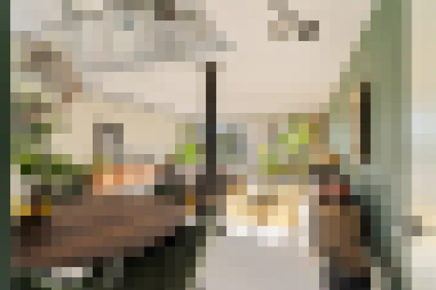 Muurmos 39 Rotterdam thumbnail 10