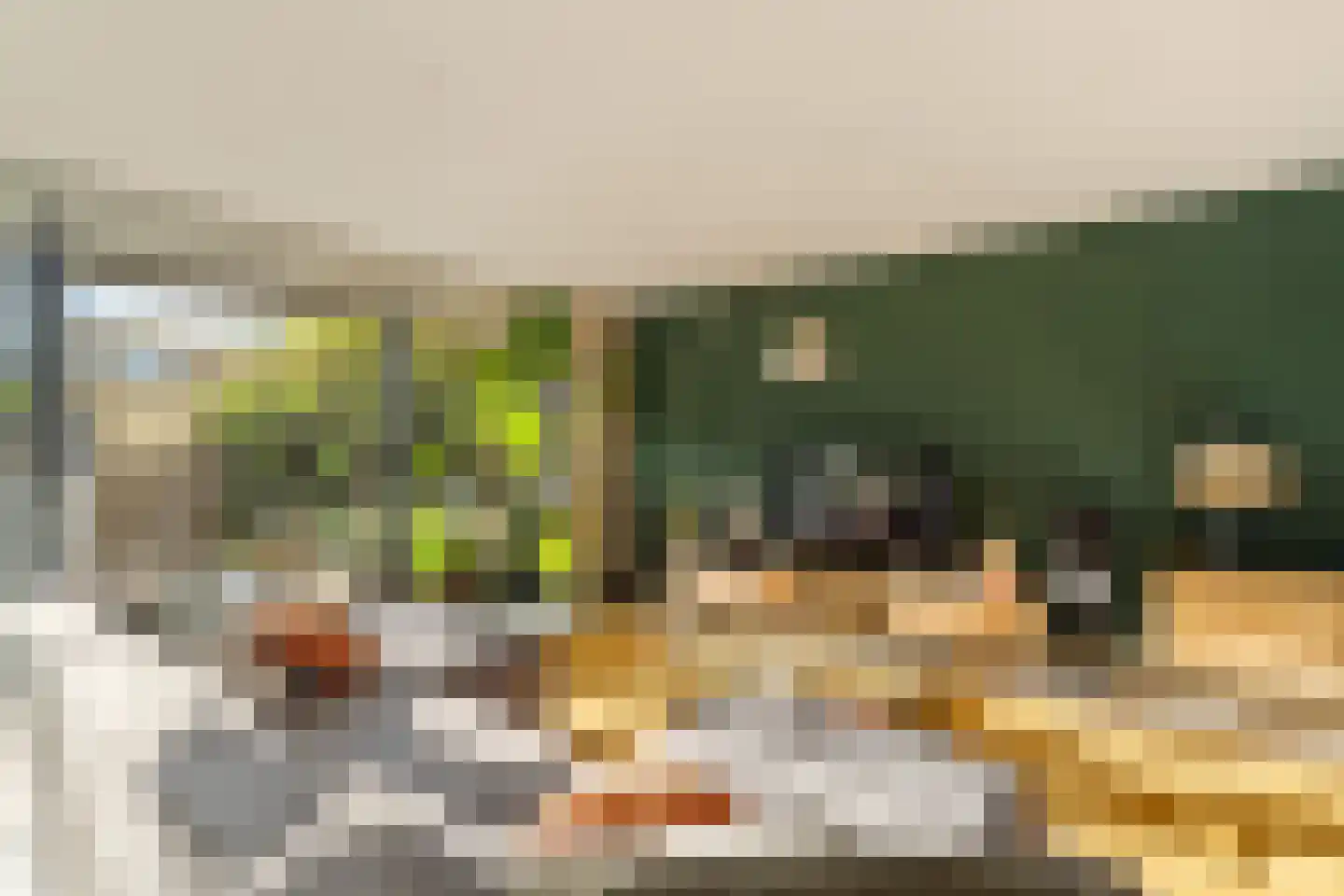 Muurmos 39 Rotterdam thumbnail 14