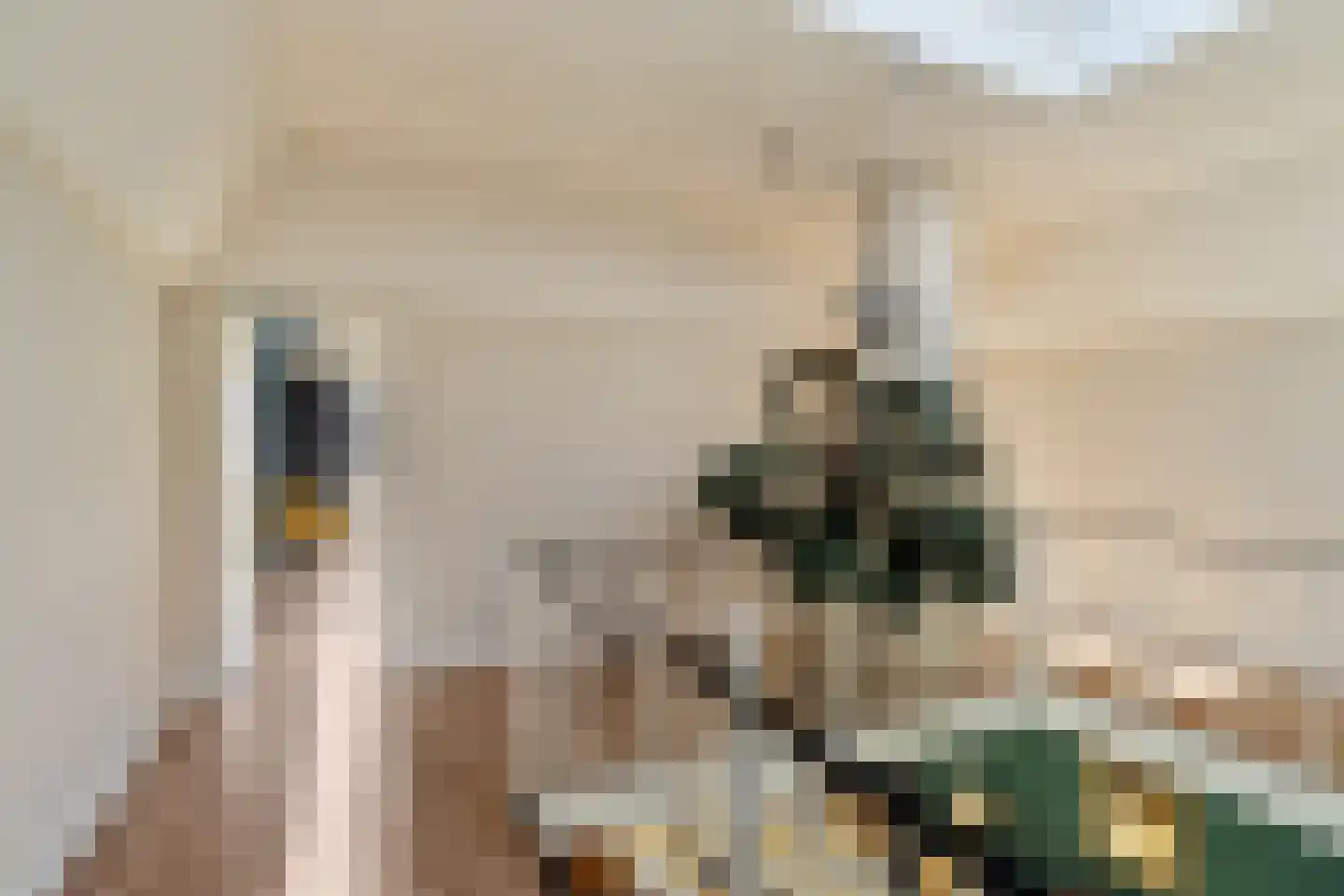 Muurmos 39 Rotterdam thumbnail 24