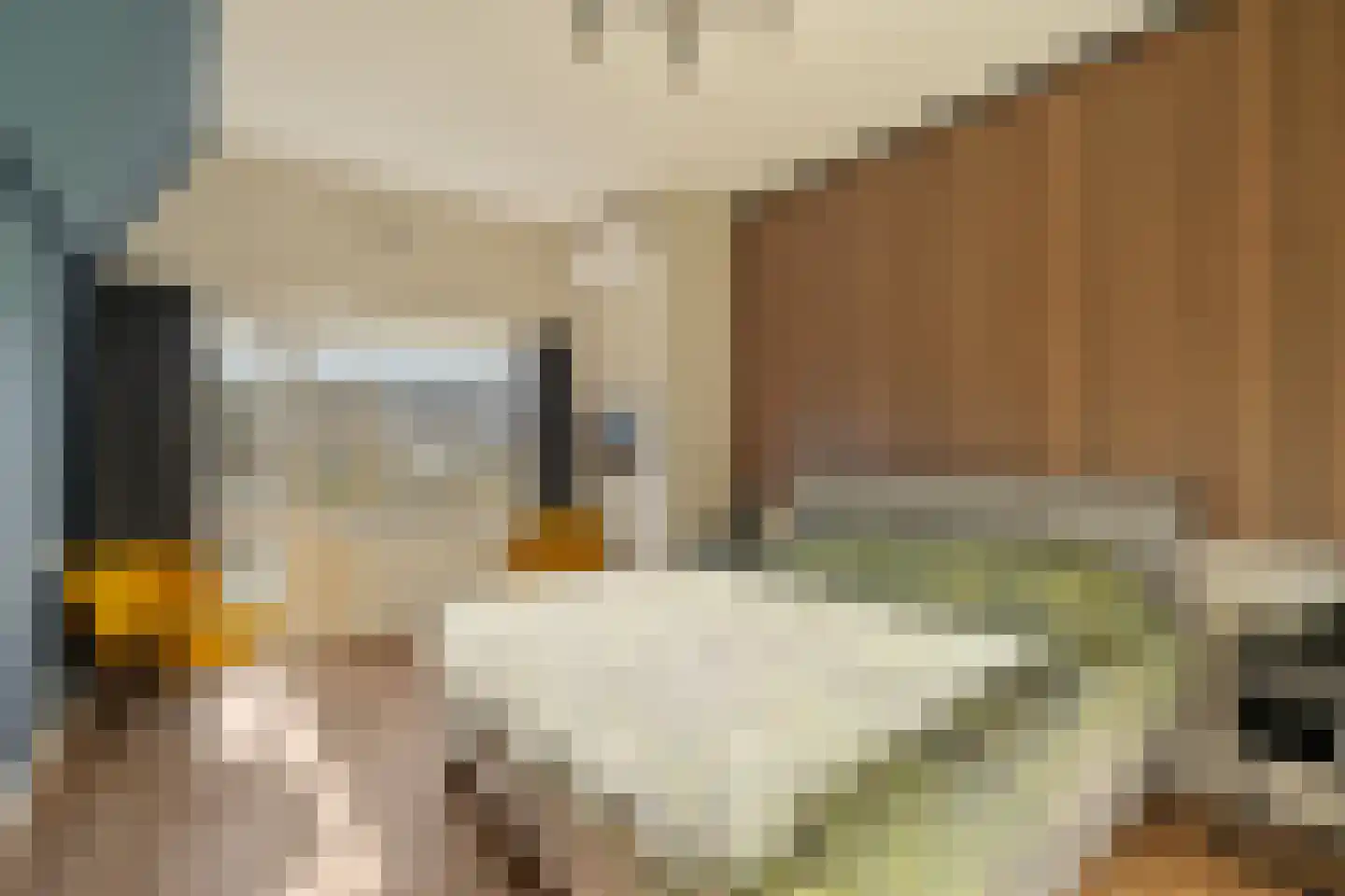Muurmos 39 Rotterdam thumbnail 25
