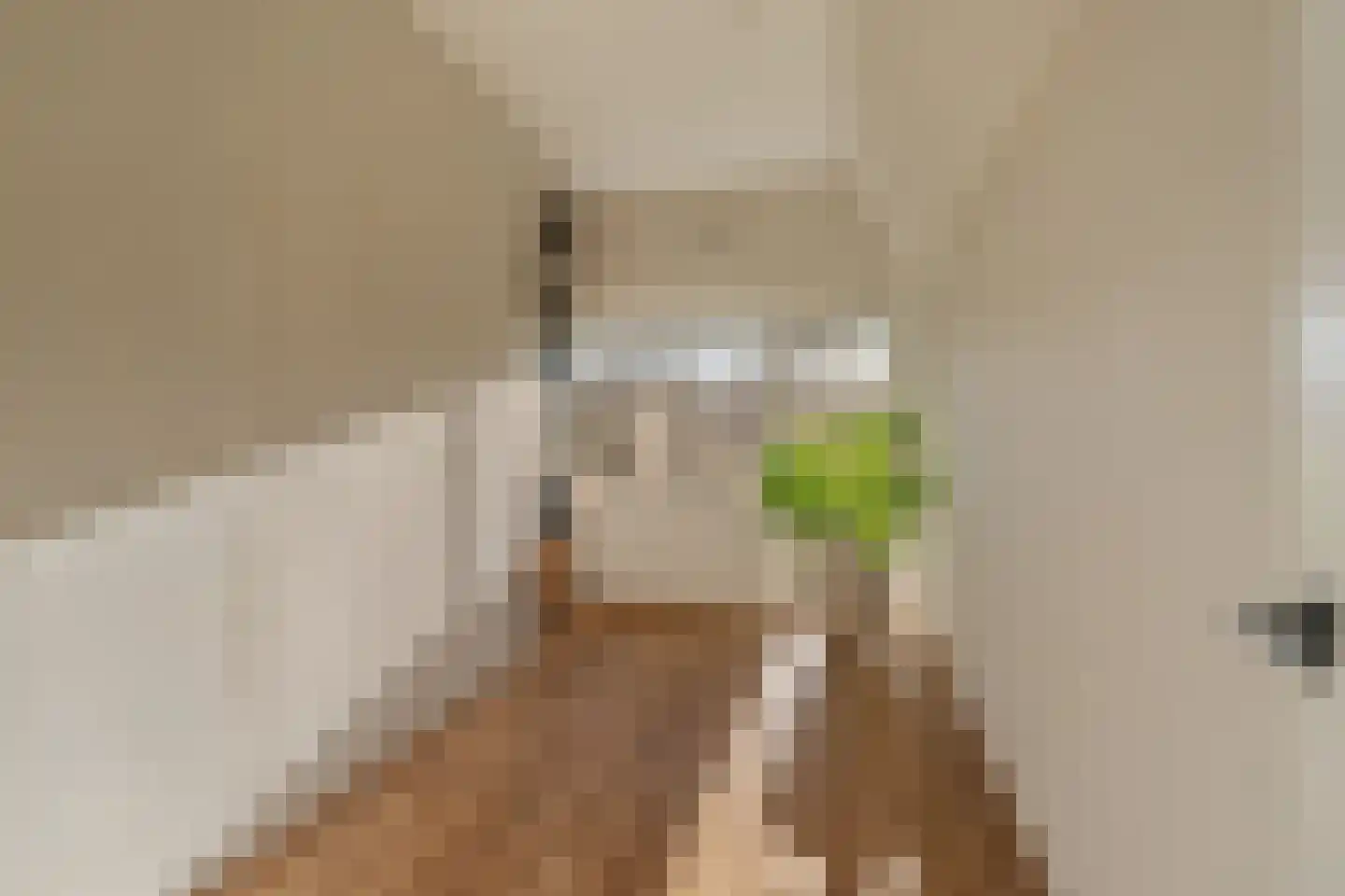 Muurmos 39 Rotterdam thumbnail 34