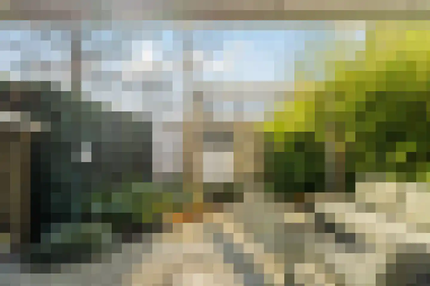 Muurmos 39 Rotterdam thumbnail 35
