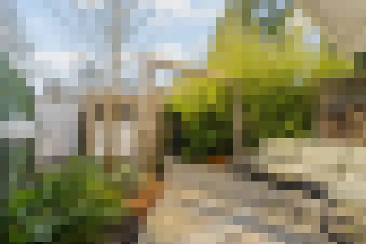 Muurmos 39 Rotterdam thumbnail 37