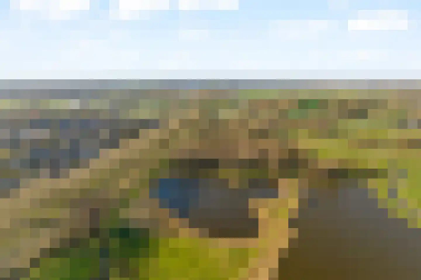 Muurmos 39 Rotterdam thumbnail 39
