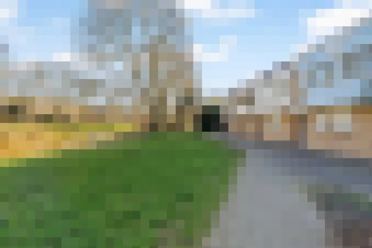 Muurmos 39 Rotterdam thumbnail 4