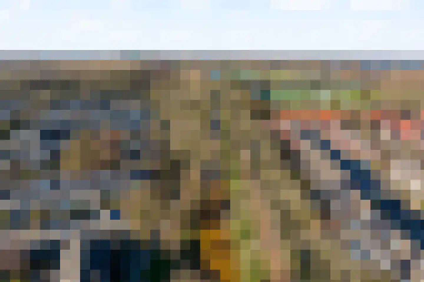 Muurmos 39 Rotterdam thumbnail 40