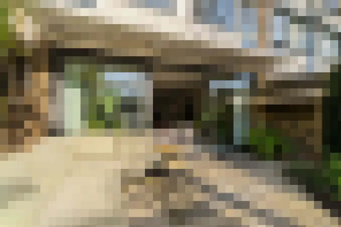 Muurmos 39 Rotterdam thumbnail 7