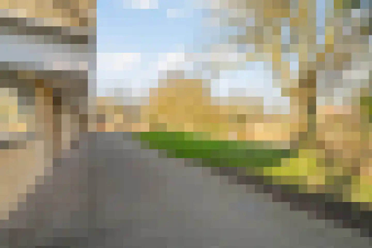 Muurmos 39 Rotterdam thumbnail 8