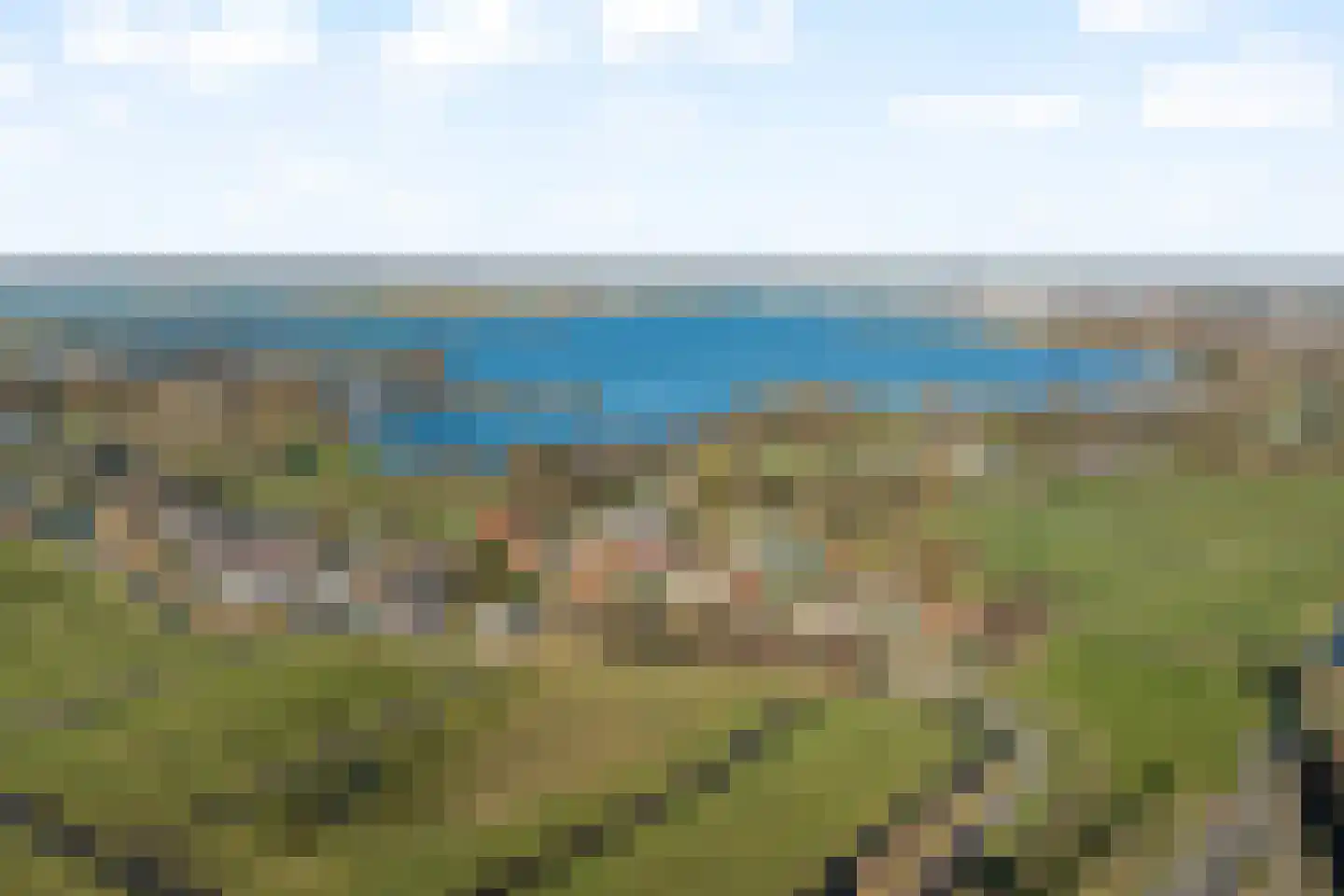 Muurmos 39 Rotterdam thumbnail 9