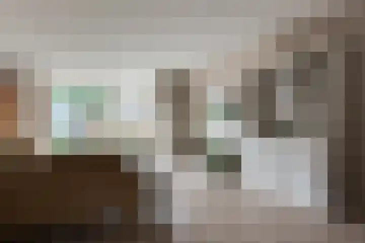 Muurmos 4 Bergschenhoek thumbnail 12