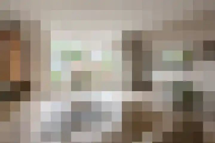 Muurmos 4 Bergschenhoek thumbnail 13