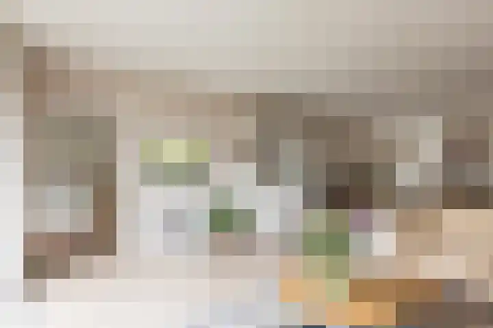 Muurmos 4 Bergschenhoek thumbnail 14