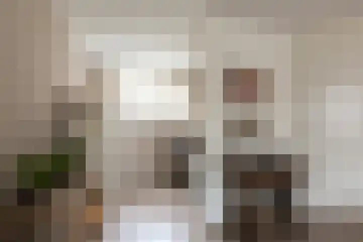 Muurmos 4 Bergschenhoek thumbnail 15