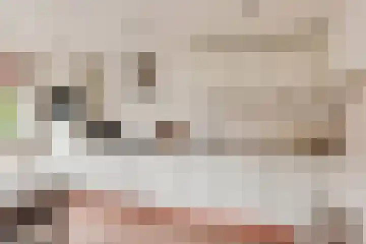 Muurmos 4 Bergschenhoek thumbnail 17