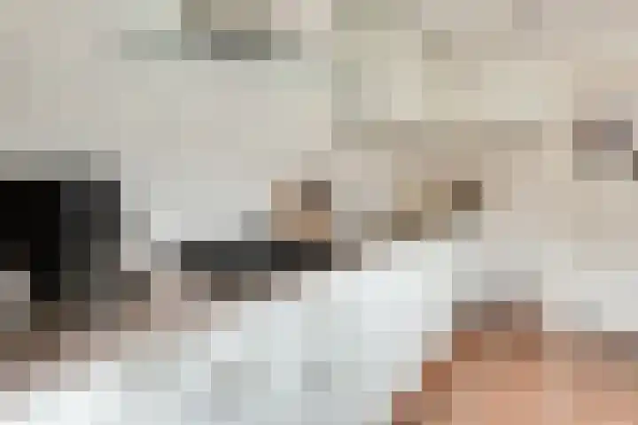 Muurmos 4 Bergschenhoek thumbnail 18