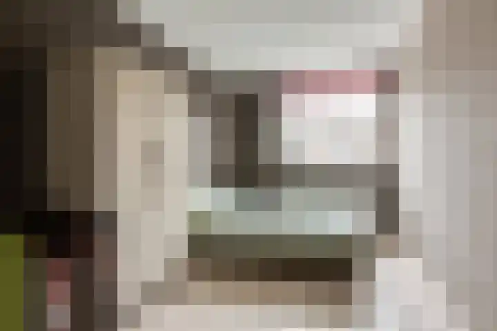 Muurmos 4 Bergschenhoek thumbnail 19
