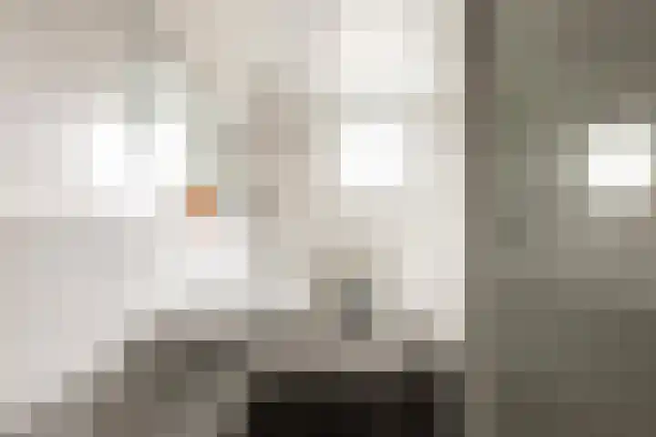 Muurmos 4 Bergschenhoek thumbnail 24