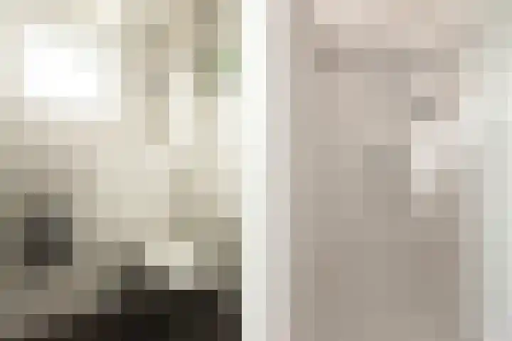 Muurmos 4 Bergschenhoek thumbnail 26