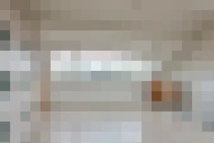 Muurmos 4 Bergschenhoek thumbnail 27