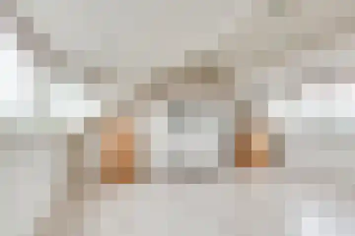 Muurmos 4 Bergschenhoek thumbnail 28