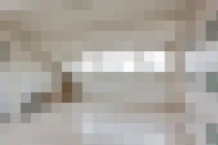 Muurmos 4 Bergschenhoek thumbnail 29