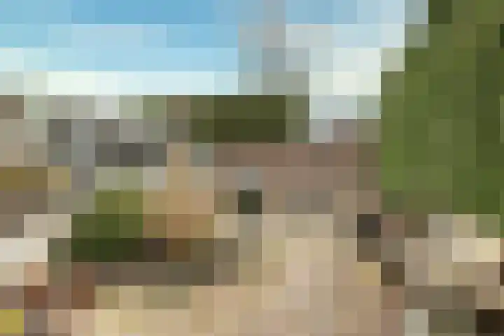 Muurmos 4 Bergschenhoek thumbnail 30