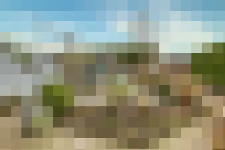 Muurmos 4 Bergschenhoek thumbnail 31
