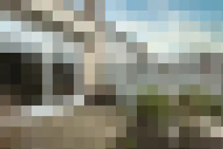 Muurmos 4 Bergschenhoek thumbnail 32