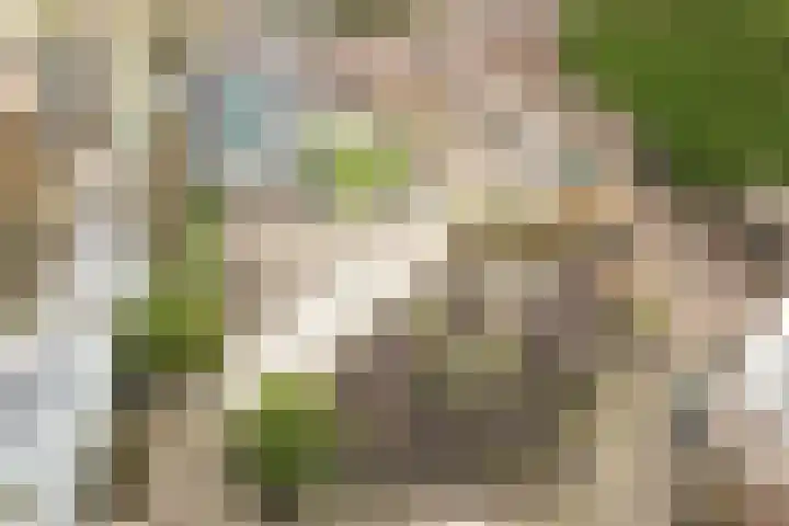 Muurmos 4 Bergschenhoek thumbnail 33