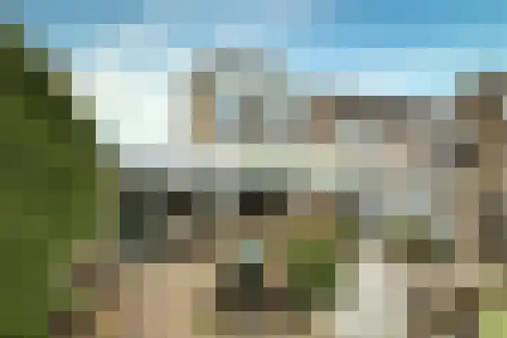 Muurmos 4 Bergschenhoek thumbnail 4