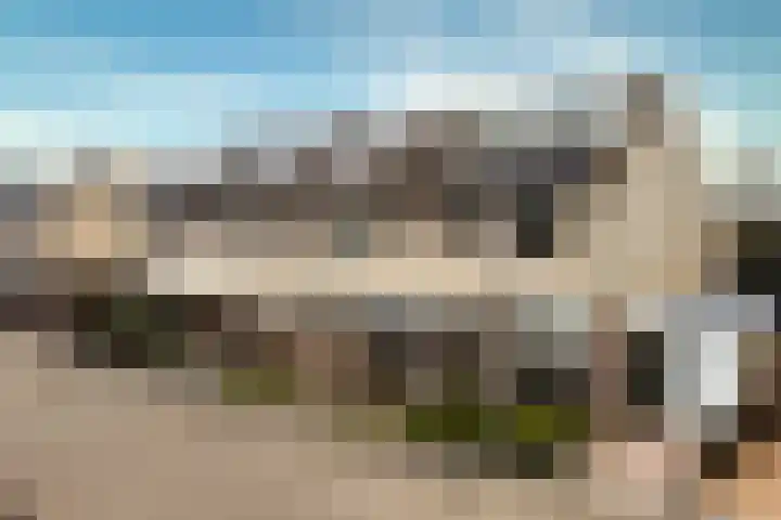 Muurmos 4 Bergschenhoek thumbnail 5