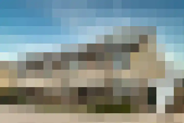 Muurmos 4 Bergschenhoek thumbnail 6