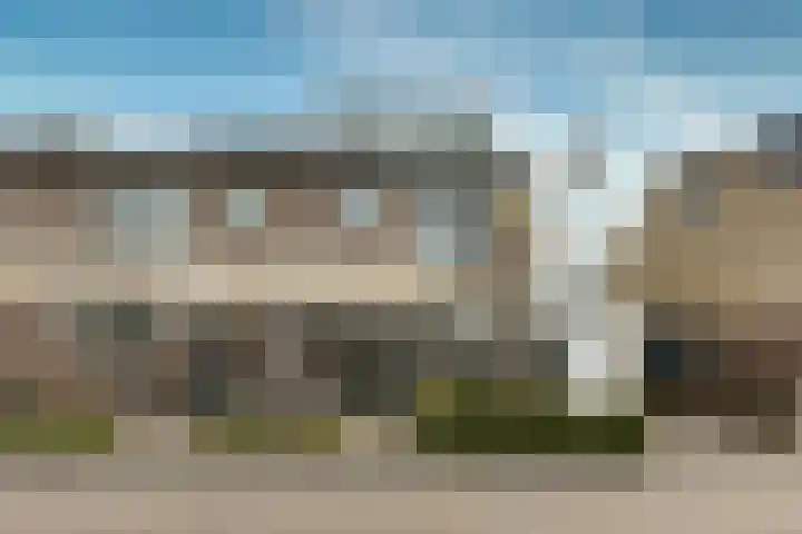 Muurmos 4 Bergschenhoek thumbnail 7