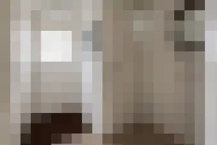 Muurmos 4 Bergschenhoek thumbnail 8