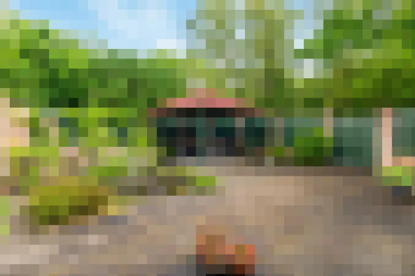 Muurpeper 11 Venray thumbnail 26