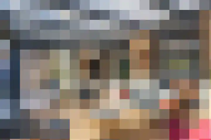 Muurpeper 6 Venray thumbnail 29