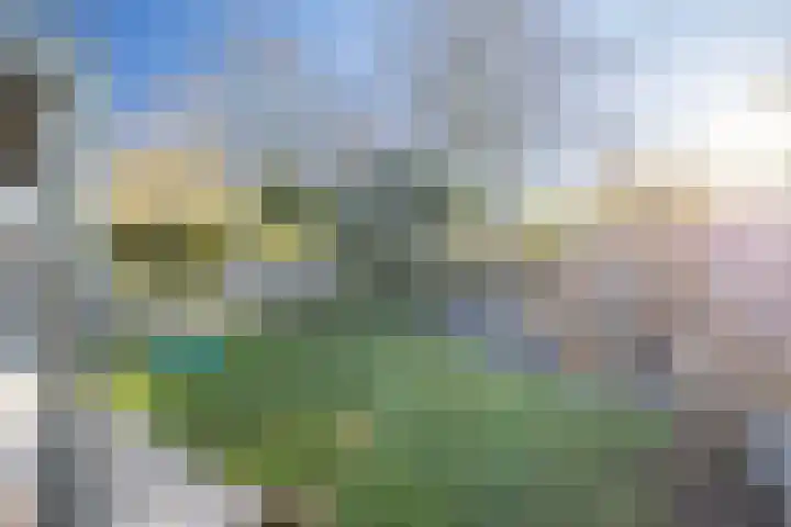 Muurpeper 6 Venray thumbnail 31
