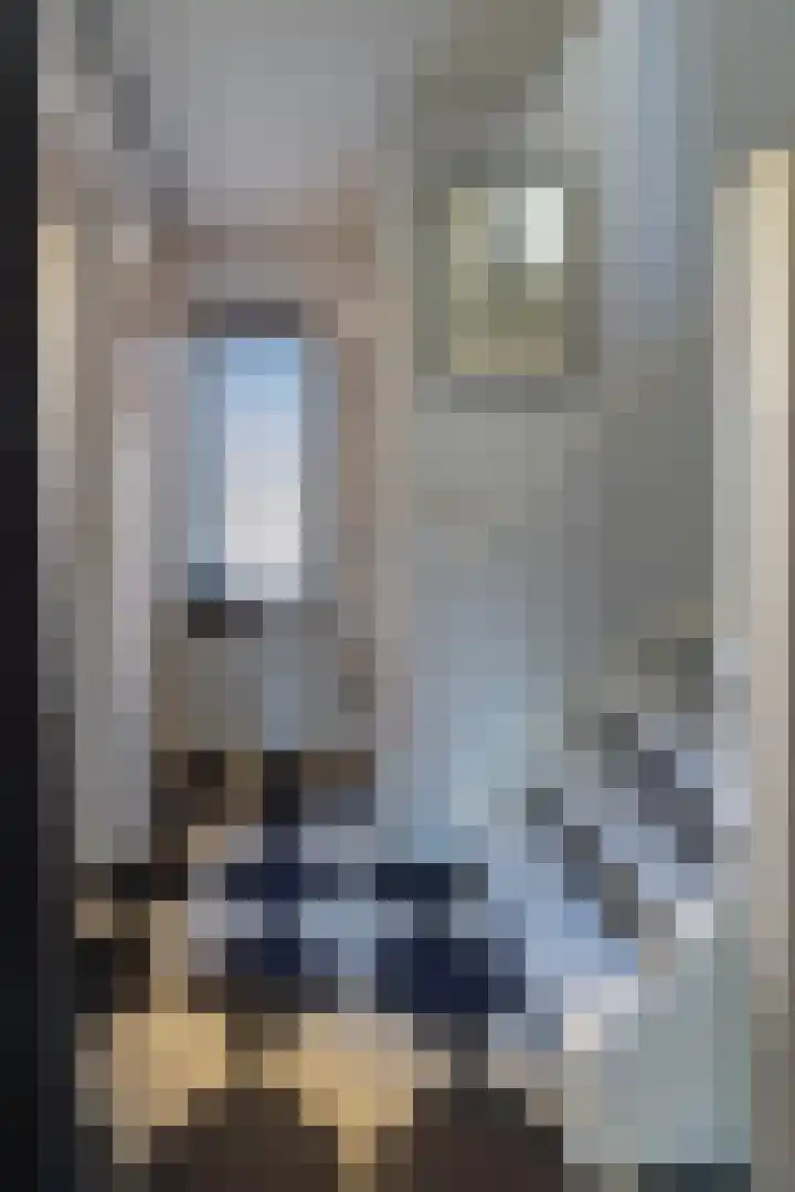 Muurpeper 6 Venray thumbnail 9