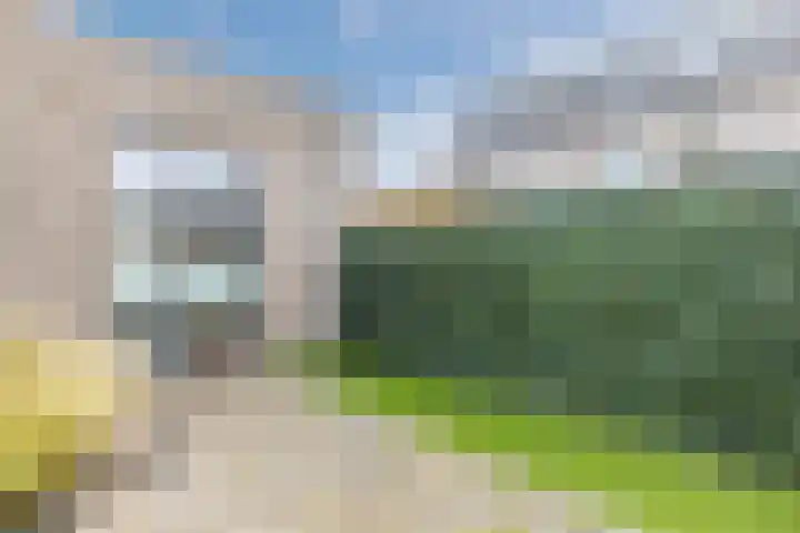 Muurtje 10 Gilze thumbnail 19