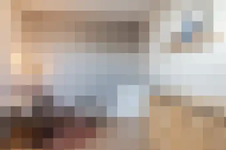 Muurtje 10 Gilze thumbnail 26