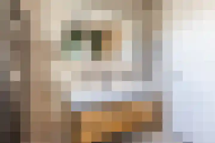 Muurtje 10 Gilze thumbnail 28