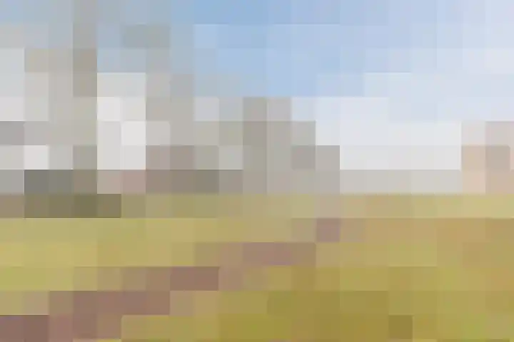 Muurtje 10 Gilze thumbnail 39