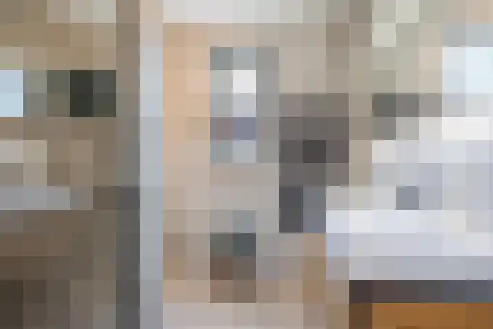 Muurtje 10 Gilze thumbnail 4
