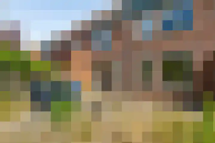 Muurvaren 37 Purmerend thumbnail 40
