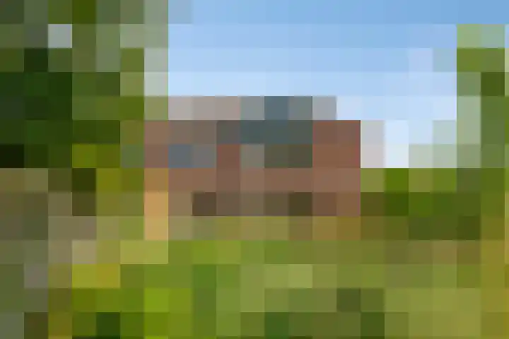 Muurvaren 37 Purmerend thumbnail 41
